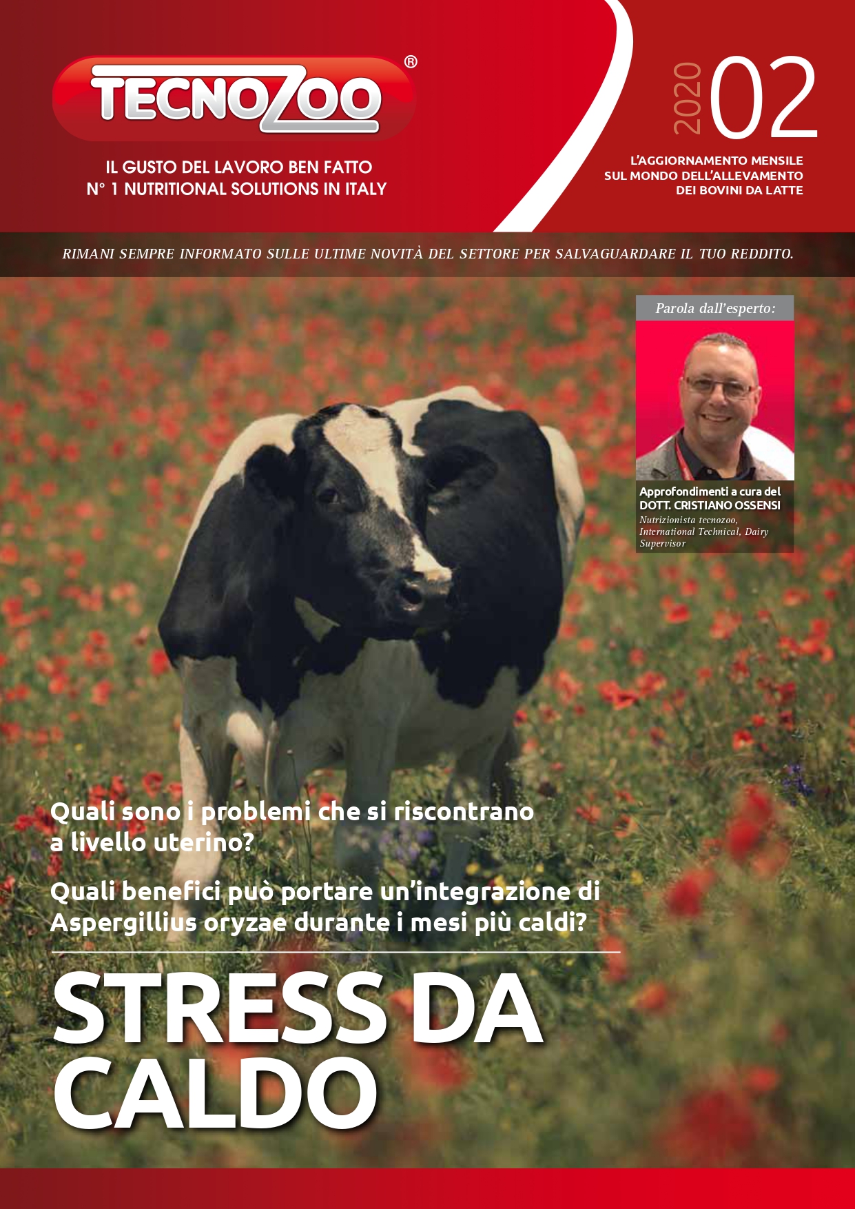 Rivista Stress da caldo Tecnozoo