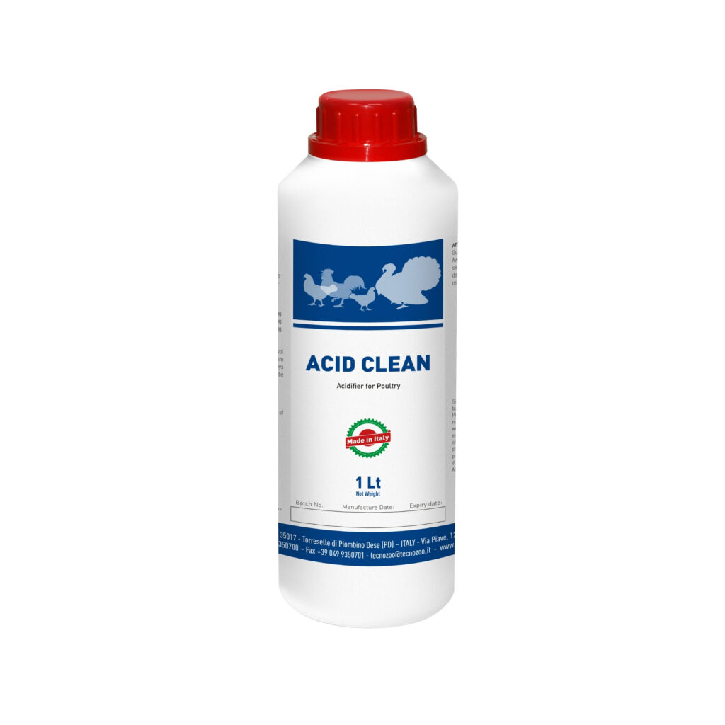 Acid Clean