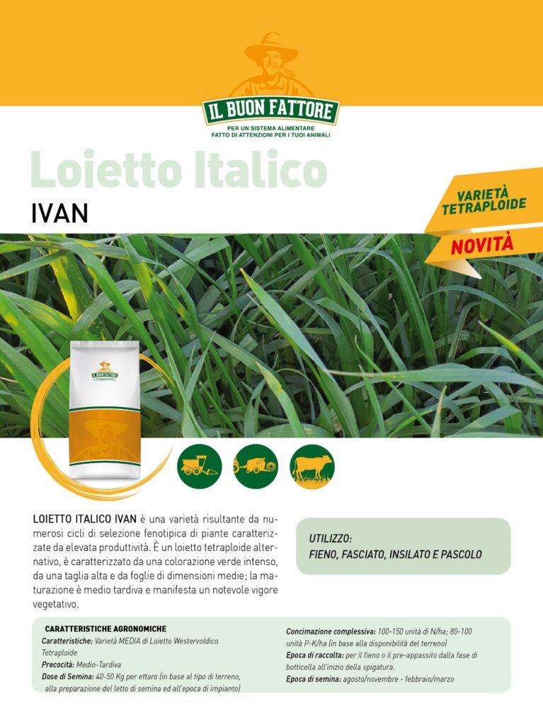 Sementi Autunno Vernini 2020