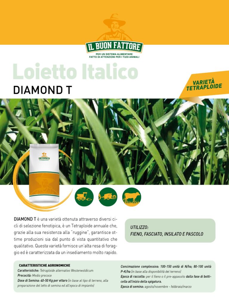 Sementi Autunno Vernini 2020