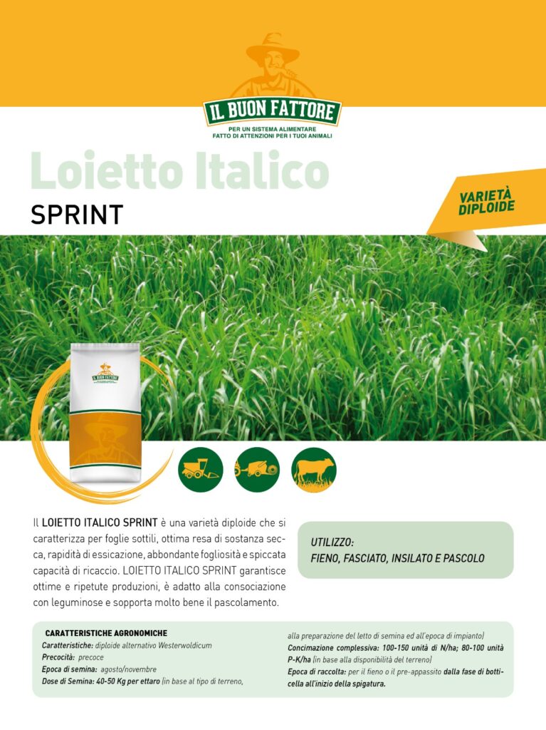 Sementi Autunno Vernini