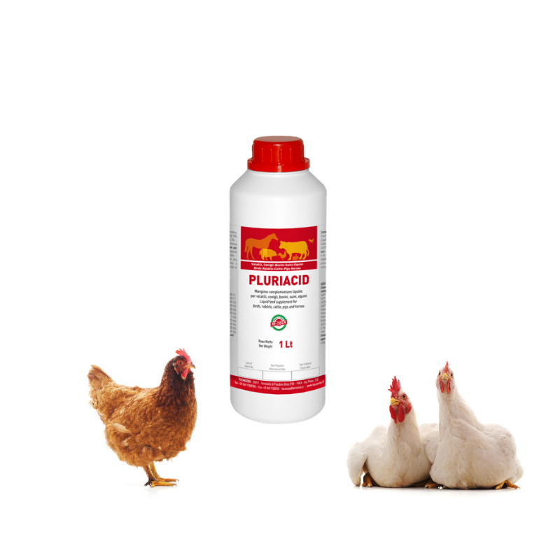 Acidificare l' acqua di bevanda : Acidi organici