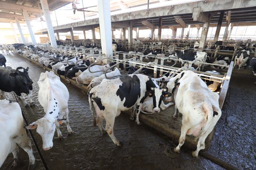 Tecnozoo e Società Agricola Le Rondini