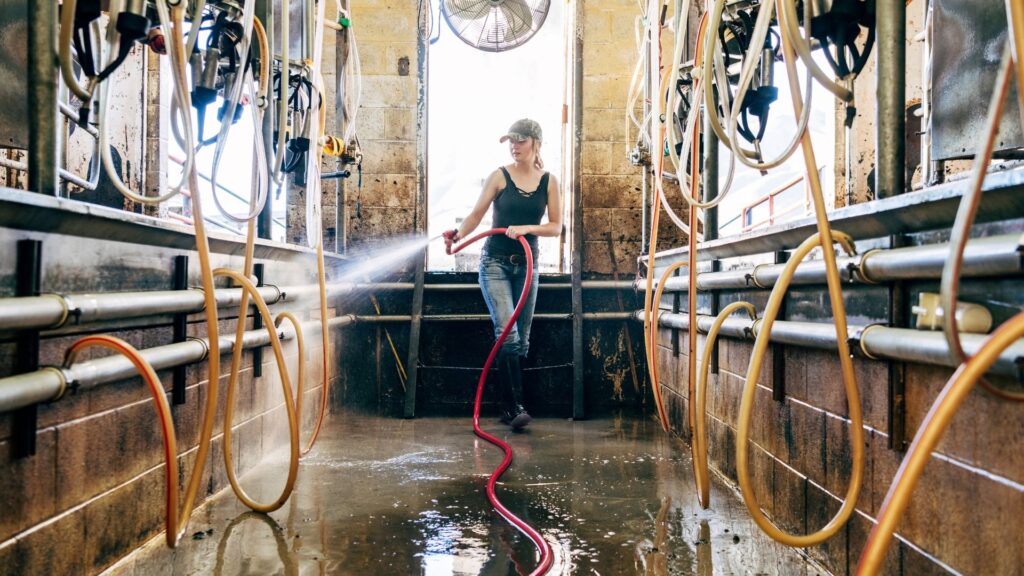 biosicurezza in allevamento