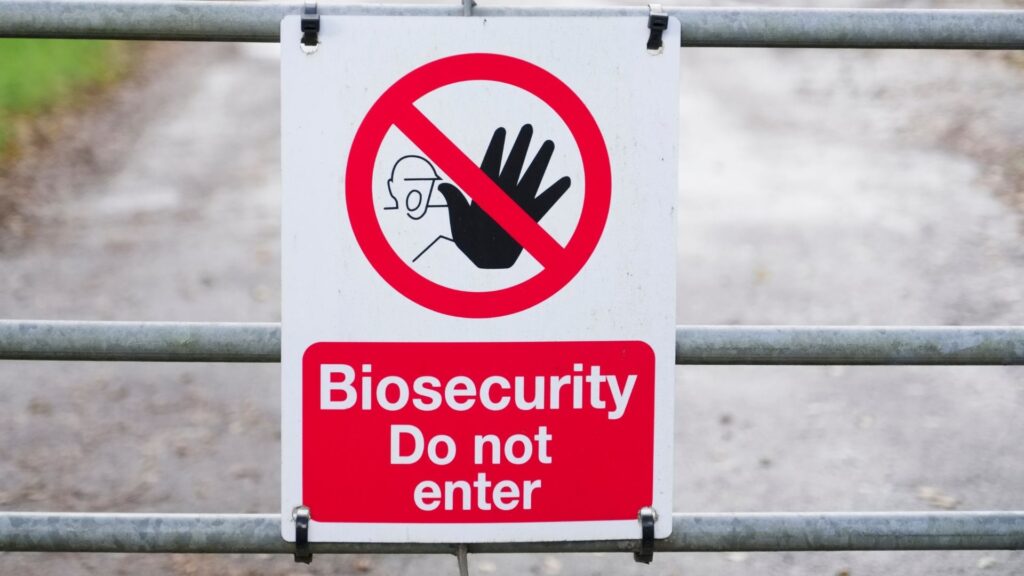 influenza aviaria biosicurezza