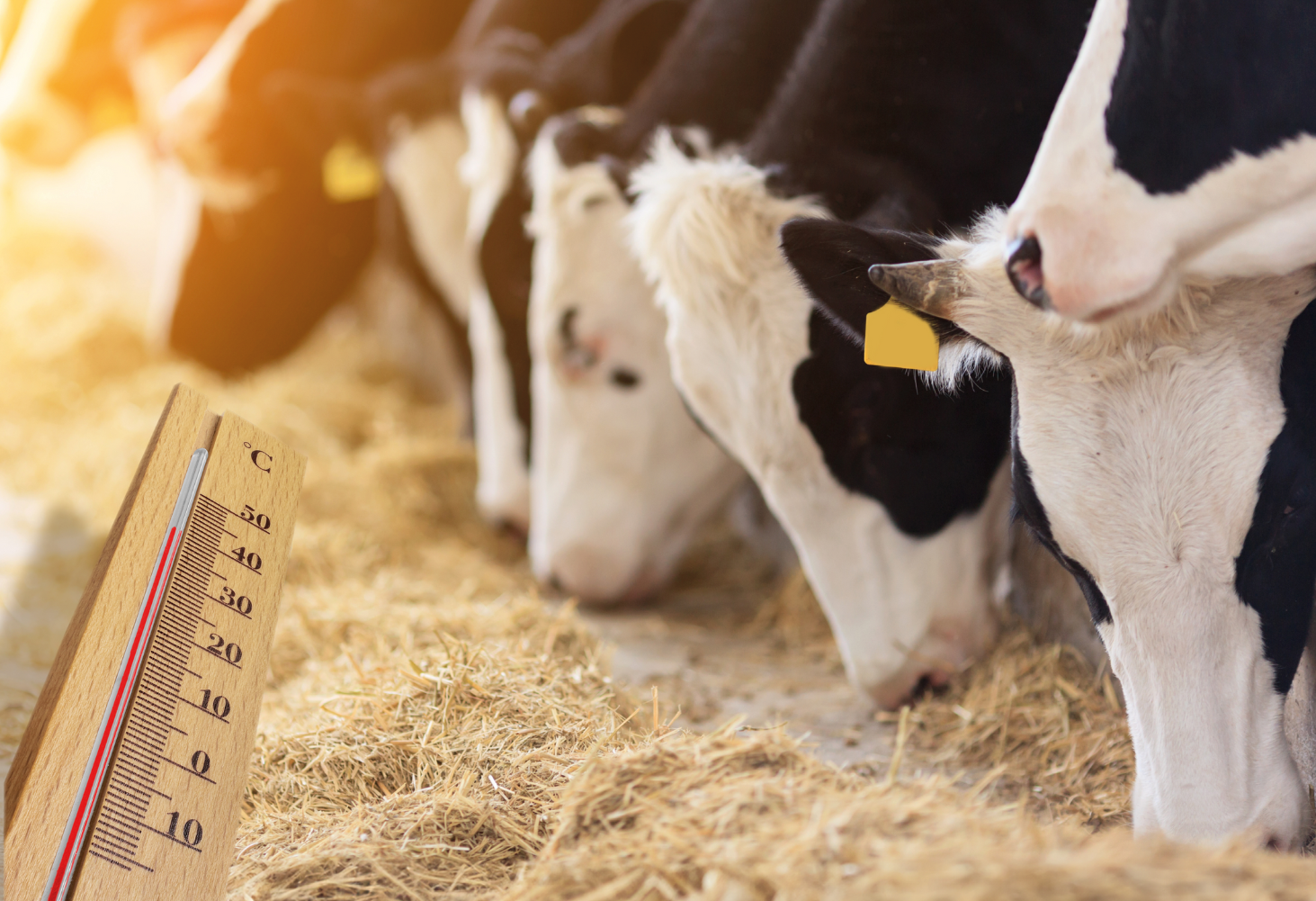 gestione nutrizionale