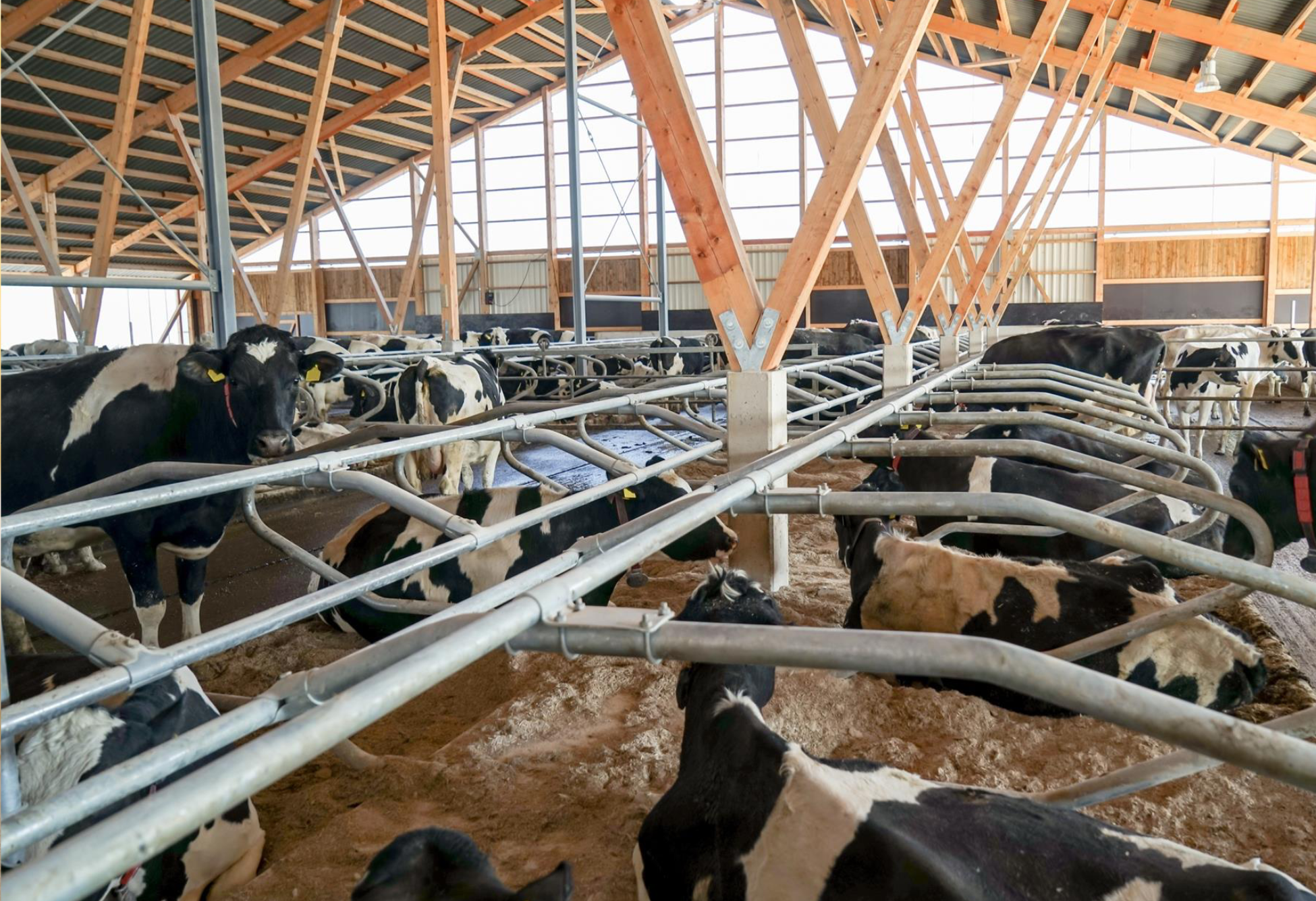 Soluzioni ambientali