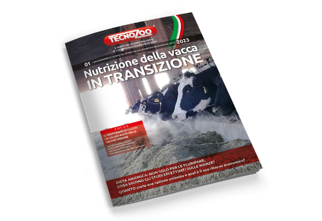 Copertina rivista "Nutrizione della vacca in transizione"