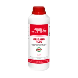 ORIGANO PLUS NEW