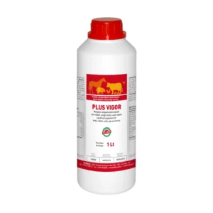 PLUS VIGOR